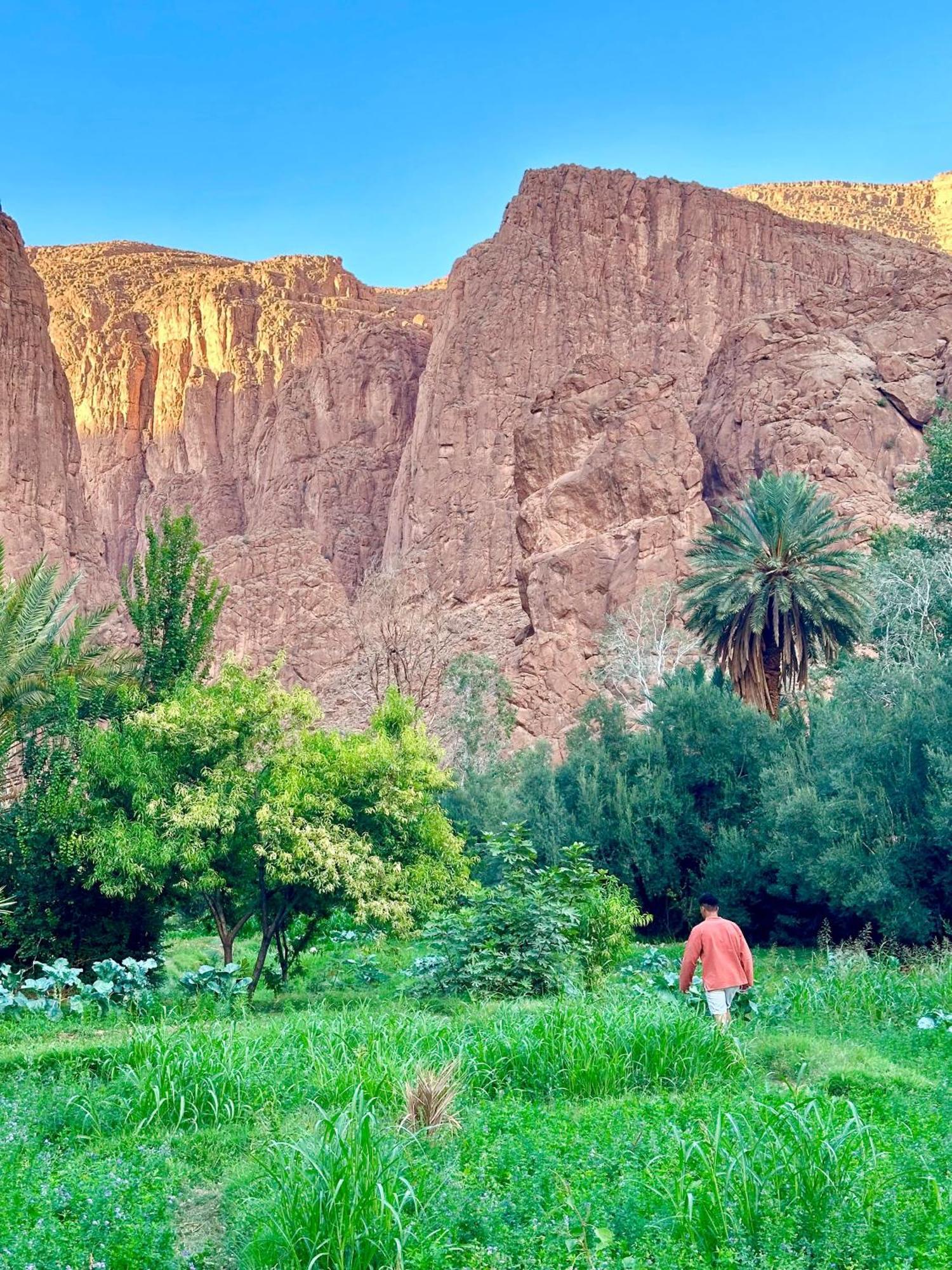 Dar Relax Hostel, Gorges De Todra Тингир Экстерьер фото